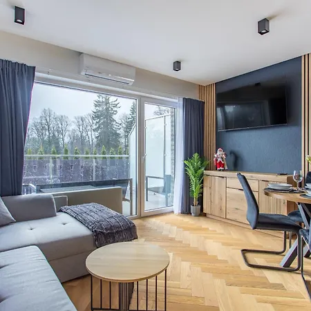 Апартаменты Mountain Spring- Premium 4-8 Os Z Jacuzzi, Sauna I Basenem W Cenie - Widok Na Gory